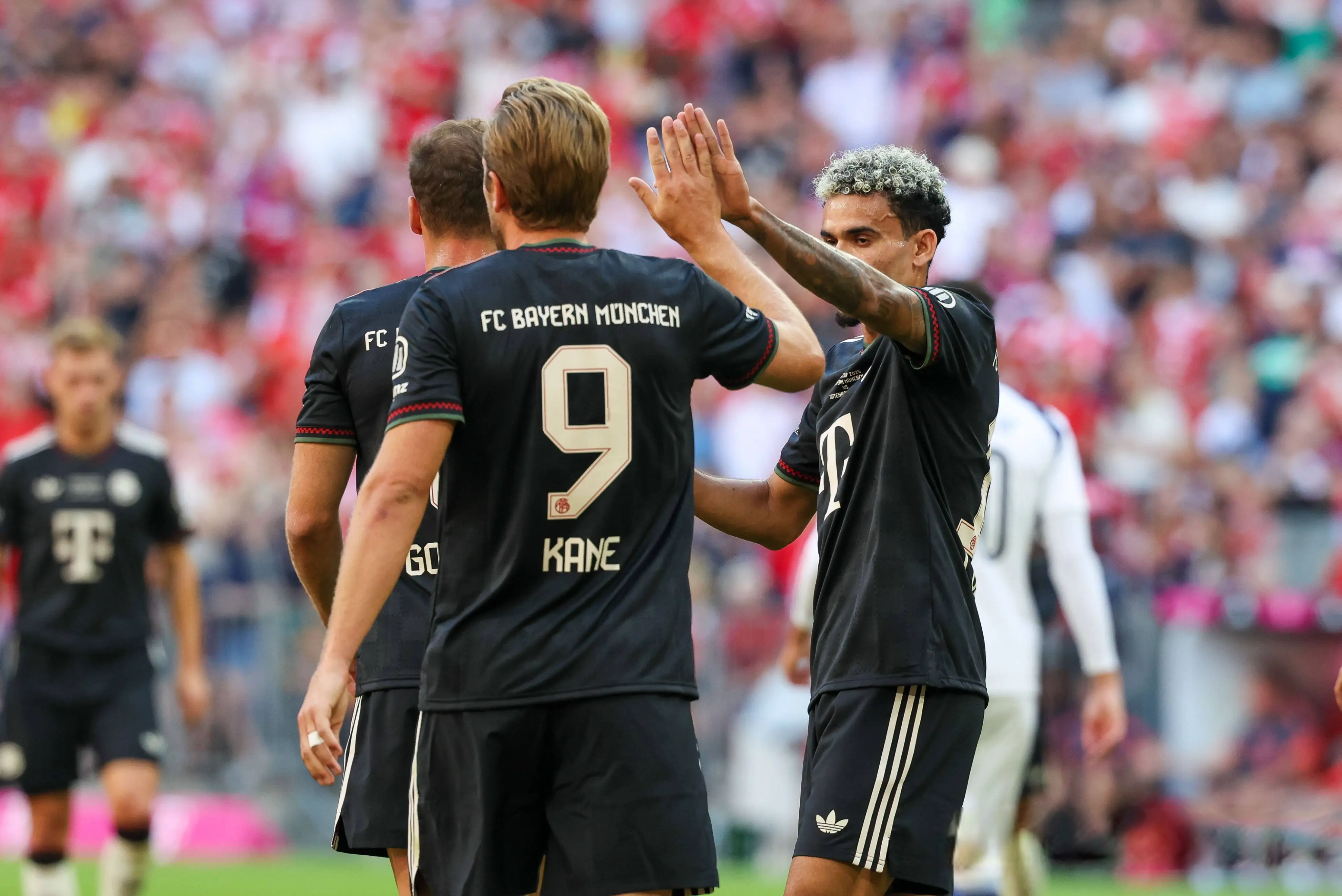 entit, 凯恩反戈一, img entit, 凯恩反戈一, img