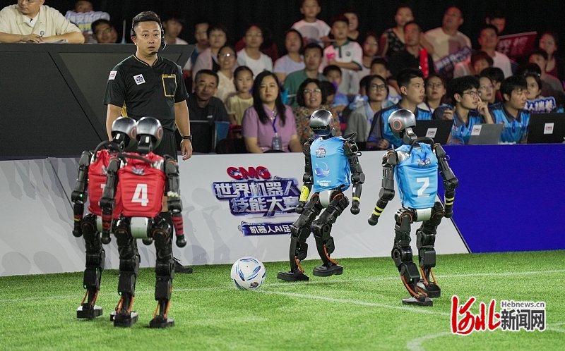 追球, 和沈阳城市, entit