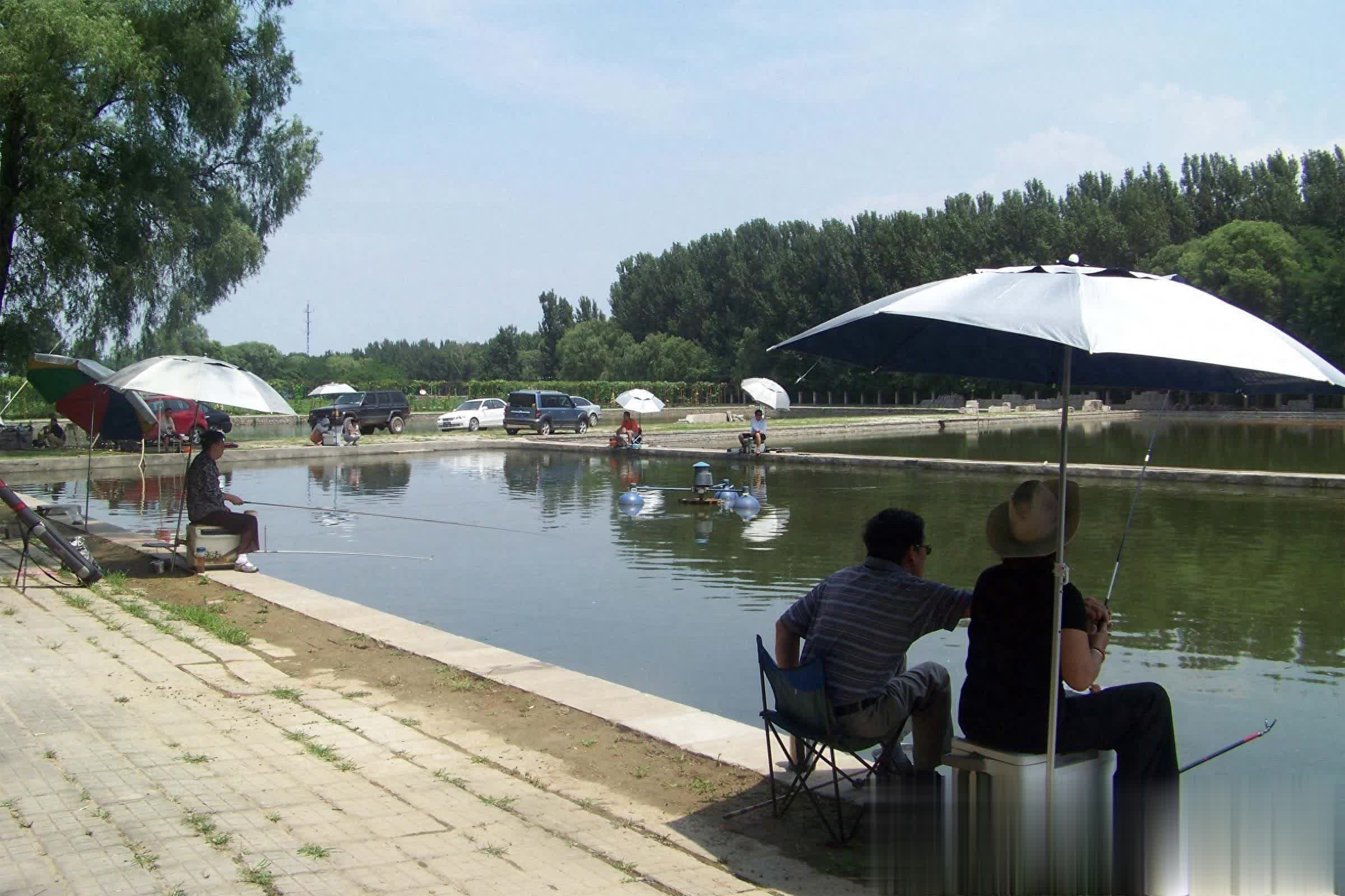 img, 鱼就喜欢躲